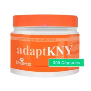 Adapt KNY