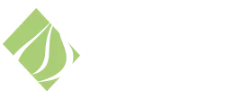 Holilaf